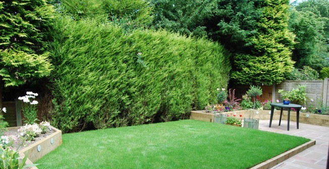 Synthetic Garden Turf in Lower Green