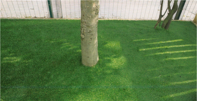 Astroturf Garden Costs in Netherton